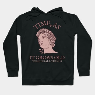 Time as it grows old teaches everything Hoodie